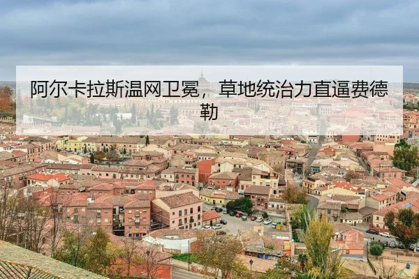 a-er-ka-la-si-wen-wang-wei-mian-cao-di-tong-zhi-li-zhi-bi-fei-de-lei-3-890.jpg