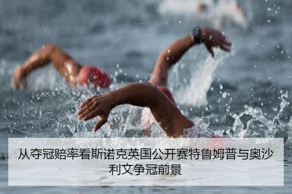 cong-duo-guan-pei-lv-kan-si-nuo-ke-ying-guo-gong-kai-sai-te-lu-mu-pu-yu-ao-sha-li-wen-zheng-guan-qian-jing-3-292.jpg